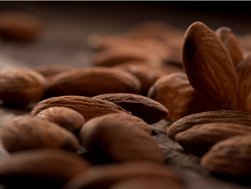 Car Air Freshener - Sandalwood Bergamot - Metal Bronze