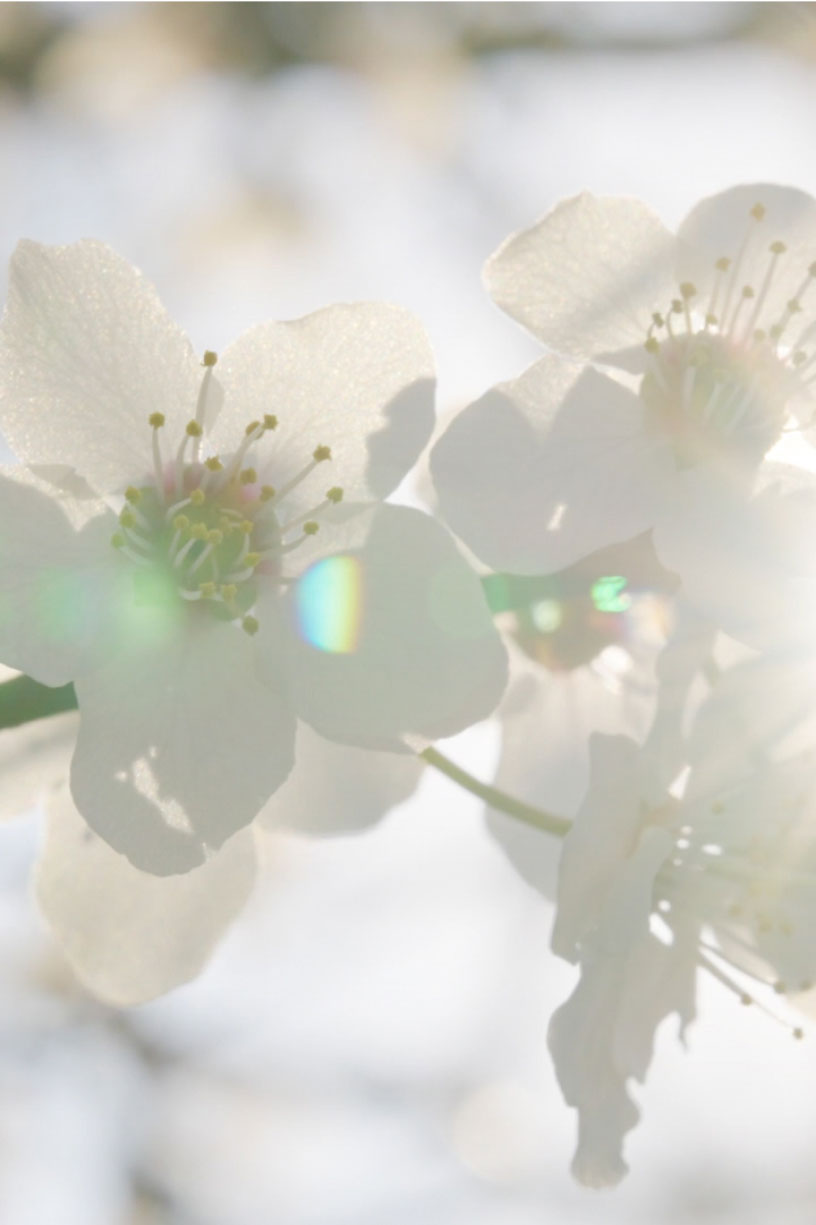 Car Air Freshener - Oxygen - Metal Silver